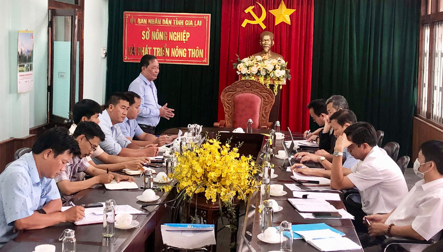 Quang cảnh buổi làm việc. Ảnh: Lê Nam Ông Nguyễn Nam Hải-Chủ tịch Hiệp hội Cà phê Ca cao Việt Nam phát biểu tại buổi làm việc. Ảnh: Lê Nam