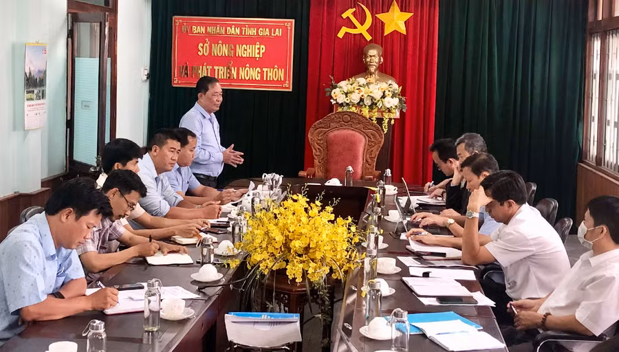 Ông Nguyễn Nam Hải-Chủ tịch Hiệp hội Cà phê Ca cao Việt Nam phát biểu tại buổi làm việc. Ảnh: Lê Nam