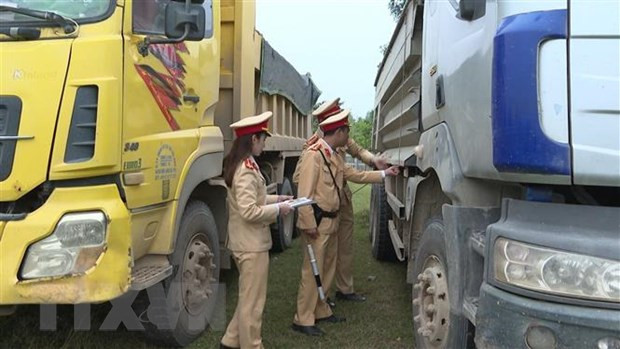 (Ảnh minh họa: Trịnh Duy Hưng/ TTXVN) 