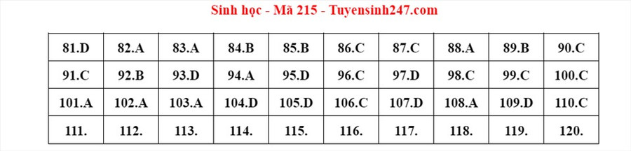 Đáp án mã đề 215 môn Sinh học kỳ thi tốt nghiệp THPT 2022. Đáp án do giáo viên Tuyensinh247 thực hiện. Đáp án mã đề 215 môn Sinh học kỳ thi tốt nghiệp THPT 2022. Đáp án do giáo viên Tuyensinh247 thực hiện.