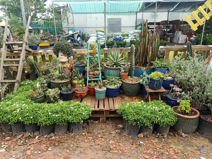 Một góc nhỏ tại cửa hàng chị Phượng. Ảnh: T.Đ