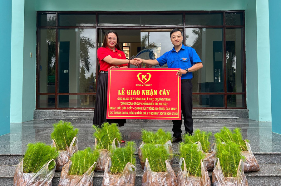 Tỉnh đoàn Kon Tum tiếp nhận 10.000 cây thông ba lá. Ảnh: TT Tỉnh đoàn Kon Tum tiếp nhận 10.000 cây thông ba lá. Ảnh: TT