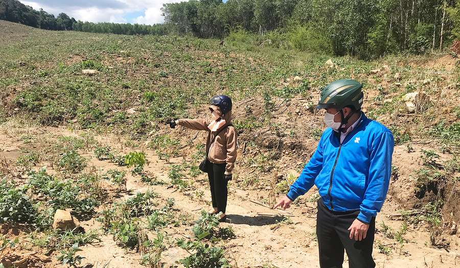 Năm 2021, toàn tỉnh Gia Lai có 18.840 ha cây trồng các loại bị hạn, ước thiệt hại hơn 141 tỷ đồng. Ảnh: Lê Nam Năm 2021, toàn tỉnh Gia Lai có 18.840 ha cây trồng các loại bị hạn, ước thiệt hại hơn 141 tỷ đồng. Ảnh: Lê Nam