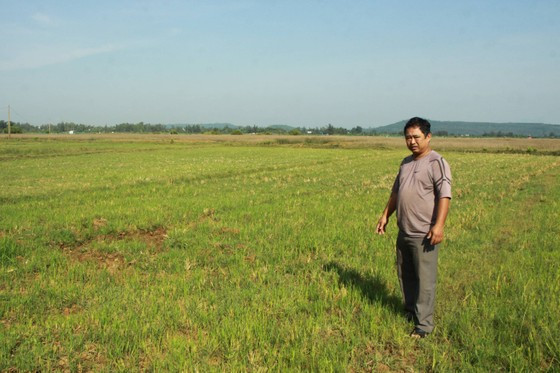 Cánh đồng bỏ hoang vì bị nhiễm mặn, thiếu nước. Ảnh: Nguyễn Trang  Cánh đồng bỏ hoang vì bị nhiễm mặn, thiếu nước. Ảnh: NGUYỄN TRANG