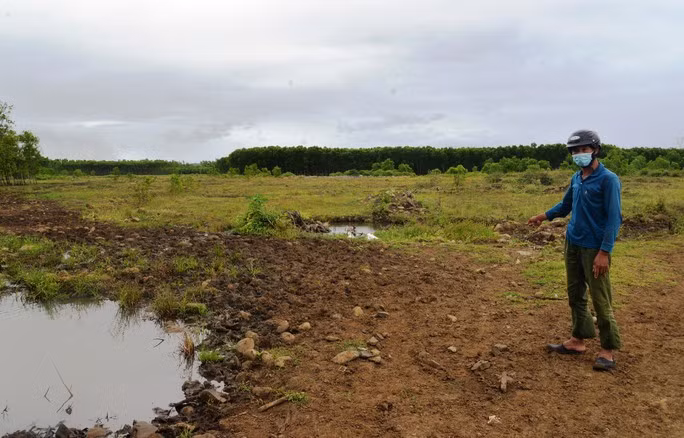 Khu đất thuộc dự án FLC ở Quảng Ngãi đã đền bù nhưng chưa triển khai. Ảnh: T.Trực