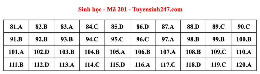 Đáp án mã đề 201 môn Sinh học kỳ thi tốt nghiệp THPT 2022. Đáp án do giáo viên Tuyensinh247 thực hiện. Đáp án mã đề 201 môn Sinh học kỳ thi tốt nghiệp THPT 2022. Đáp án do giáo viên Tuyensinh247 thực hiện.
