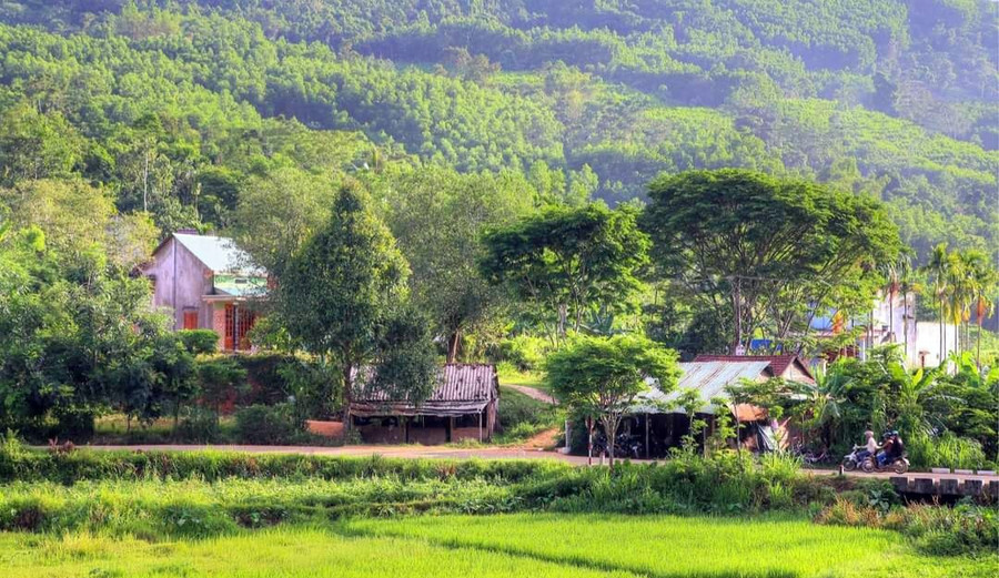 Làng quê thanh bình. Ảnh: Vũ Công Điền