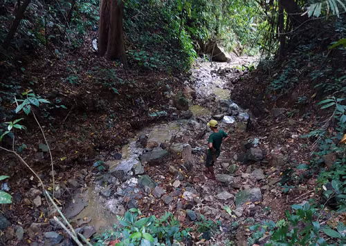 Một khe cạn chảy xuống suối Ka Ruông đục ngầu vì hoạt động khai thác vàng trái phép. Ảnh: HẢI PHONG Một khe cạn chảy xuống suối Ka Ruông đục ngầu vì hoạt động khai thác vàng trái phép. Ảnh: HẢI PHONG