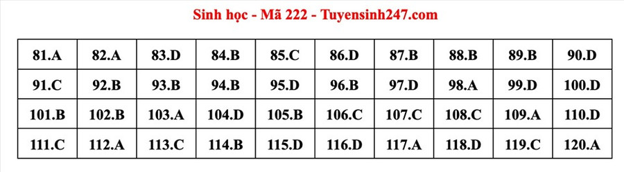 Đáp án mã đề 222 môn Sinh học kỳ thi tốt nghiệp THPT 2022. Đáp án do giáo viên Tuyensinh247 thực hiện. Đáp án mã đề 208 môn Sinh học kỳ thi tốt nghiệp THPT 2022. Đáp án do giáo viên Tuyensinh247 thực hiện.