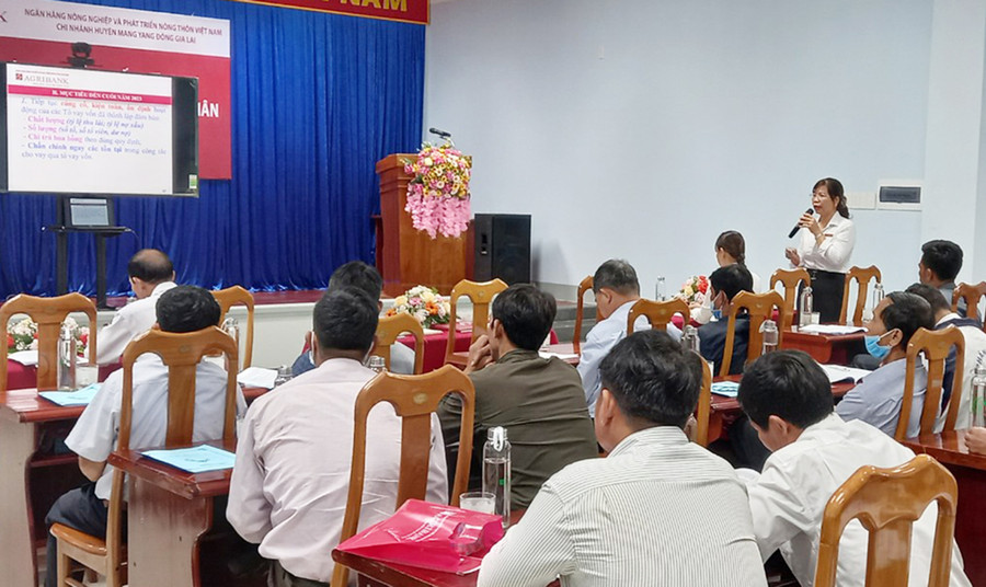  Quang cảnh hội nghị tập huấn. Ảnh: Nguyễn Kim