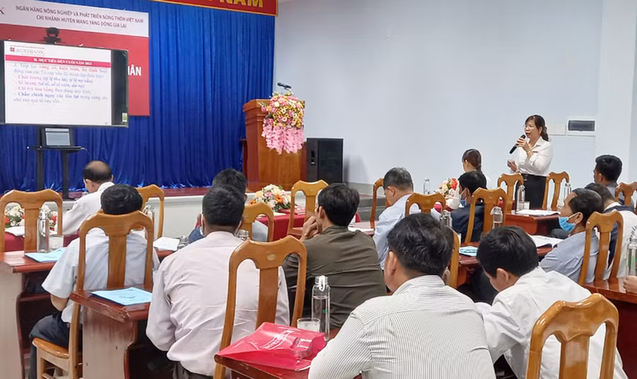  Quang cảnh hội nghị tập huấn. Ảnh: Nguyễn Kim