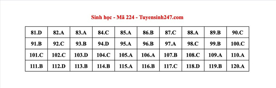 Đáp án mã đề 224 môn Sinh học kỳ thi tốt nghiệp THPT 2022. Đáp án do giáo viên Tuyensinh247 thực hiện. Đáp án mã đề 224 môn Sinh học kỳ thi tốt nghiệp THPT 2022. Đáp án do giáo viên Tuyensinh247 thực hiện.