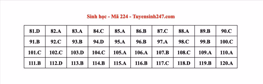 Đáp án mã đề 224 môn Sinh học kỳ thi tốt nghiệp THPT 2022. Đáp án do giáo viên Tuyensinh247 thực hiện.