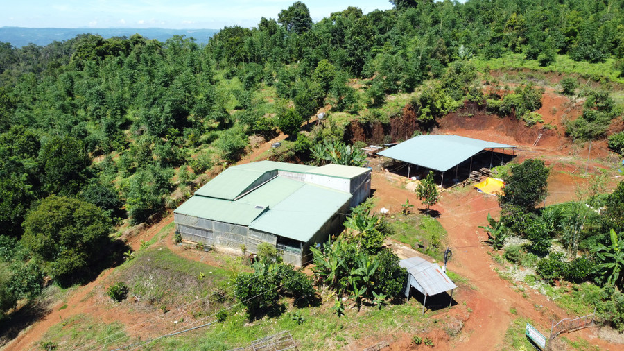 Trên một thửa đất cấp sai sổ đỏ ở xã Đắk Som (H.Đắk Glong, Đắk Nông), người dân đã xây dựng nhà kiên cố. Ảnh: Thanh Quân Trên một thửa đất cấp sai sổ đỏ ở xã Đắk Som (H.Đắk Glong, Đắk Nông), người dân đã xây dựng nhà kiên cố. Ảnh: Thanh Quân