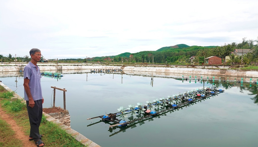 Ông Triên là người nuôi tôm thành công nhất ở đầm Công Lương