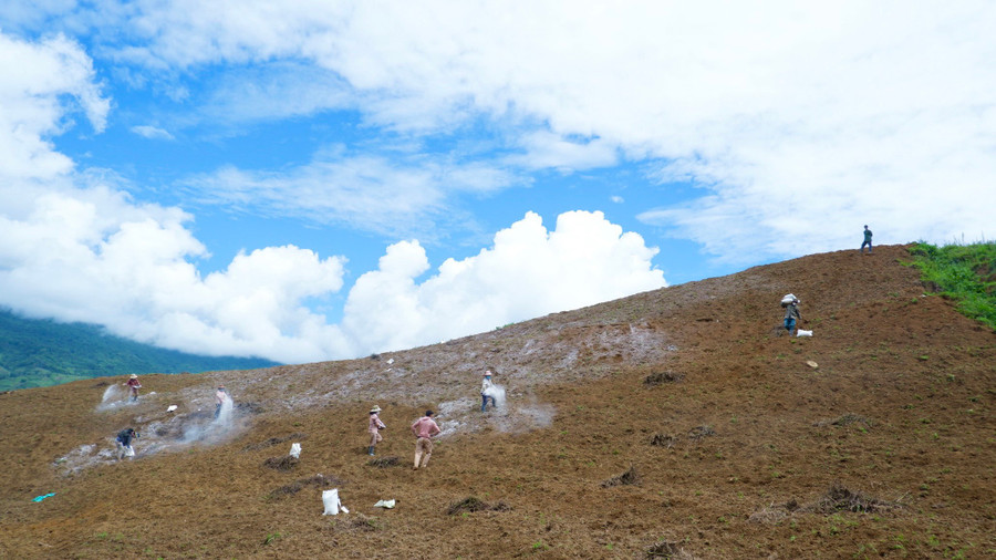 Và sử dụng vôi trong quá trình cải tạo đất. Ảnh: HT