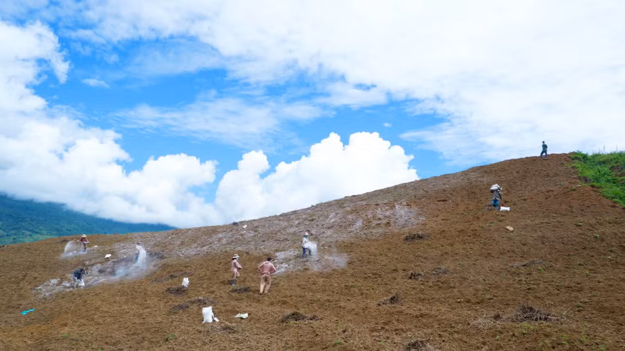 Và sử dụng vôi trong quá trình cải tạo đất. Ảnh: HT