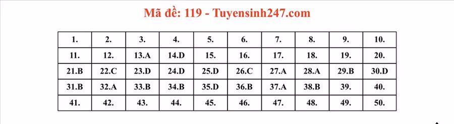 Đáp án đề thi tốt nghiệp THPT môn Toán mã đề 119. Ảnh: CMH. 