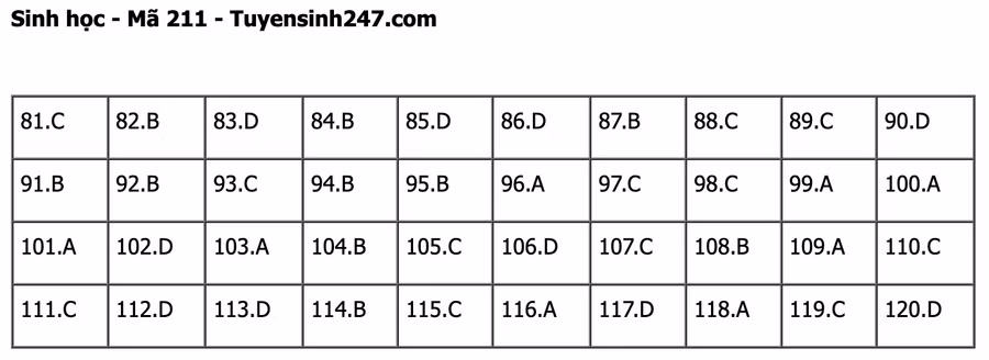 Đáp án mã đề 211 môn Sinh học kỳ thi tốt nghiệp THPT 2022. Đáp án do giáo viên Tuyensinh247 thực hiện.