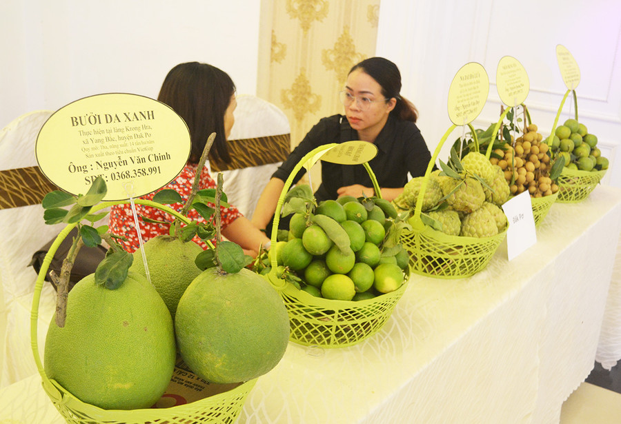  Các sản phẩm nông nghiệp do Hội Nông dân huyện Đak Pơ trưng bày tại Hội nghị điển hình tiên tiến Hội Nông dân tỉnh lần thứ IV (2020-2025). Ảnh: Hoàng Minh