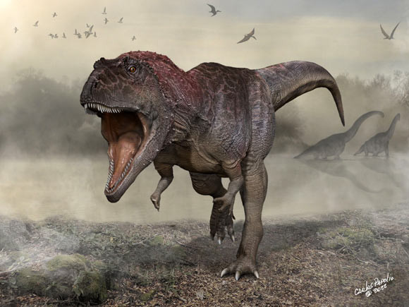 Meraxes gigas - Ảnh đồ họa từ Carlos Papolio, thành viên nhóm nghiên cứu  Meraxes gigas - Ảnh đồ họa từ Carlos Papolio, thành viên nhóm nghiên cứu