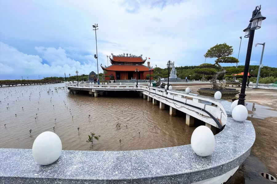 Những cây đước được trồng nơi cực Nam đất liền Tổ quốc