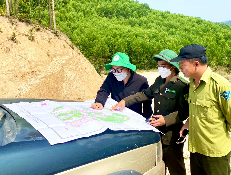 Sau khi tra cứu trên phần mềm ứng dụng những nơi có dấu hiệu nghi ngờ, cán bộ, nhân viên Quỹ Bảo vệ và Phát triển rừng mới tiến hành kiểm tra thực tế tại hiện trượng. Ảnh: Minh Phương