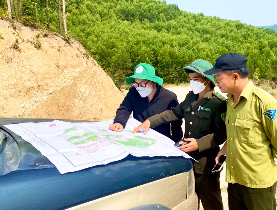 Sau khi tra cứu trên phần mềm ứng dụng những nơi có dấu hiệu nghi ngờ, cán bộ, nhân viên Quỹ Bảo vệ và Phát triển rừng mới tiến hành kiểm tra thực tế tại hiện trượng. Ảnh: Minh Phương