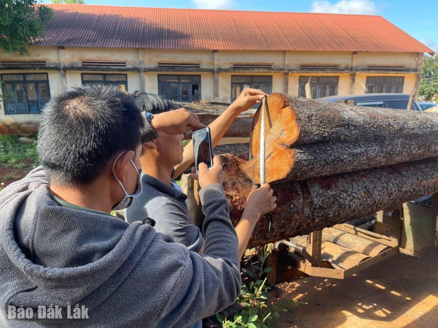 Số tang vật bị lực lượng Công an huyện Ea H'leo bắt giữ. Số tang vật bị lực lượng Công an huyện Ea H'leo bắt giữ.