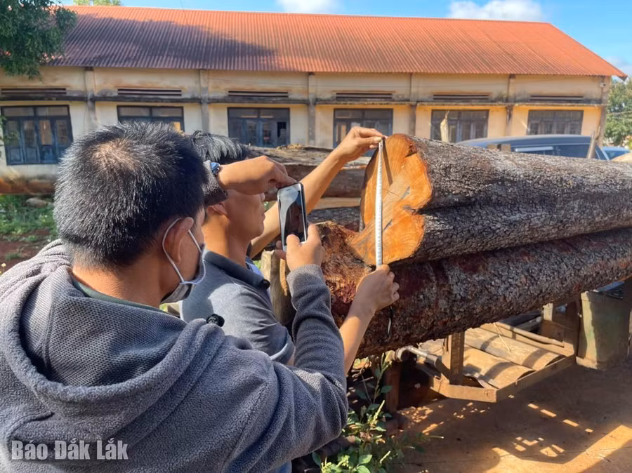 Số tang vật bị lực lượng Công an huyện Ea H'leo bắt giữ.