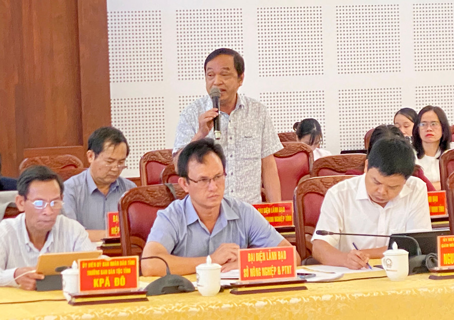 Phó Chủ tịch Thường trực Hiệp hội Doanh nghiệp tỉnh Nguyễn Tuấn phát biểu tại hội nghị. Ảnh: Hà Duy Ông Nguyễn Tuấn-Phó Chủ tịch Thường trực Hiệp hội Doanh nghiệp tỉnh phát biểu tại Hội nghị. Ảnh: Hà Duy