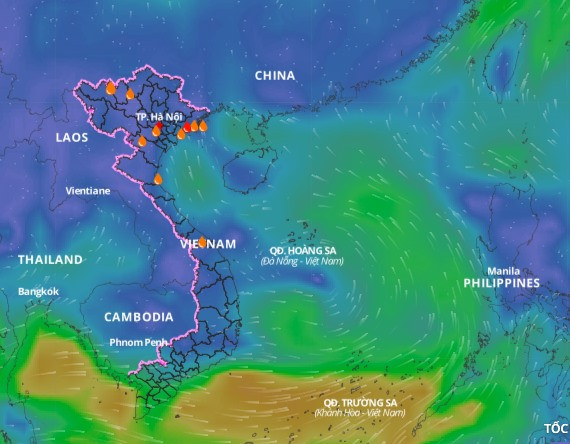 Lớp dự báo hướng gió vào ngày 9.7. Ảnh: VNDMS.