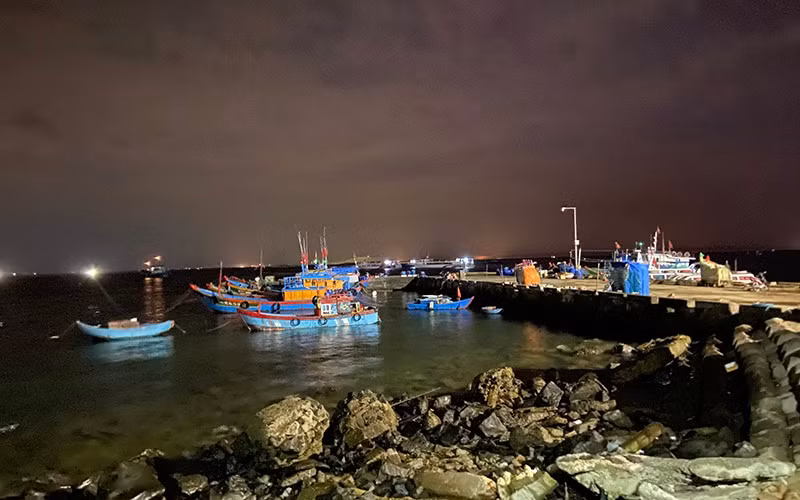 Cảng cá Lý Sơn về đêm, trước những chuyến ra khơi từ tờ mờ sáng.