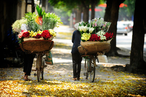 Thủ đô Hà Nội là nơi "phải đến" của nhiều du khách khi ghé thăm Việt Nam cũng như châu Á. Thủ đô Hà Nội là nơi