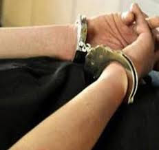 Ảnh minh họa Ảnh minh họa