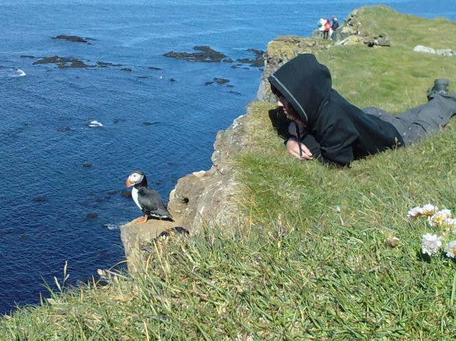 Ngắm chim trên vách đá Látrabjarg - Ảnh: ichighland