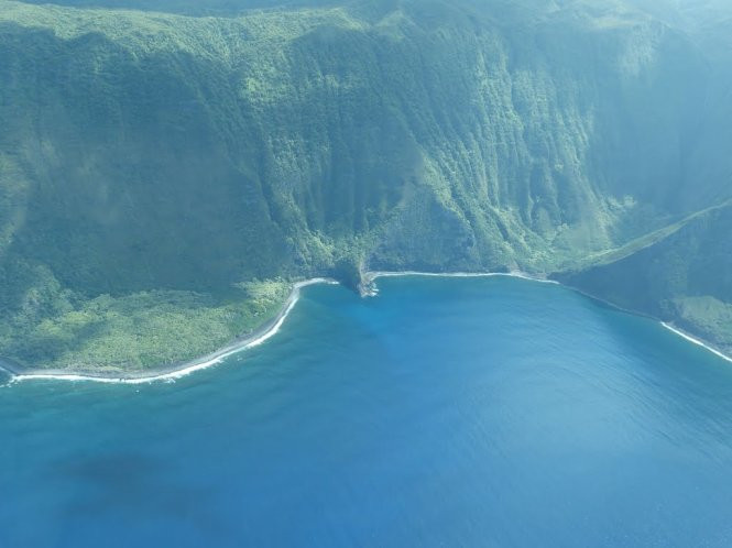 Vách đá Kalaupapa ở Hawaii dịu dàng với lớp áo xanh màu thực vật - Ảnh: panoramio