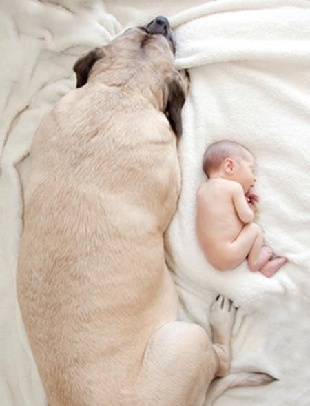 Thích ngủ cùng giường với bé