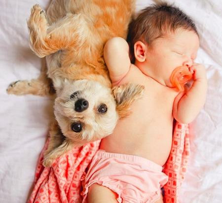  Lăn lộn trên giường