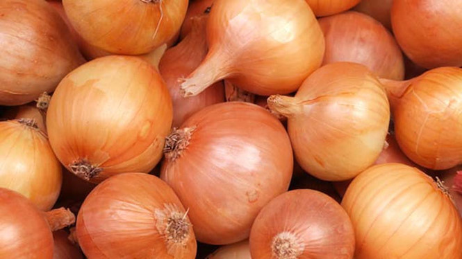 Hành tây là loại kháng sinh tự nhiên tốt