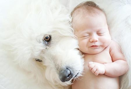 Vật nuôi là một người bạn rất mềm mại