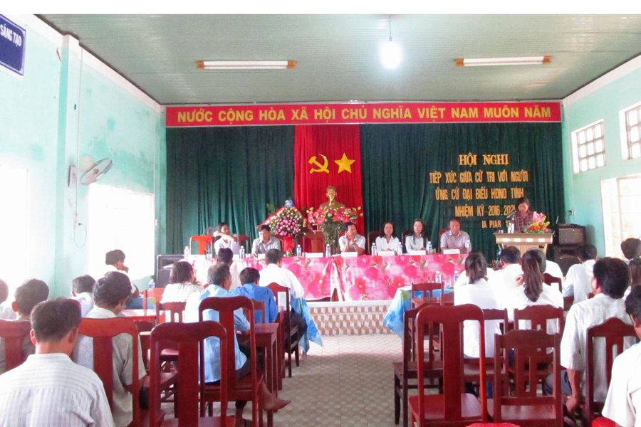 Ảnh: Hồng thương