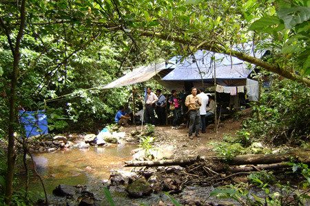 Lán trại của nhóm cán bộ nghiên cứu voọc. Ảnh: Duy Danh