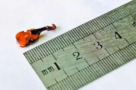Chiếc đàn violon nhỏ nhất hành tinh ảnh 1