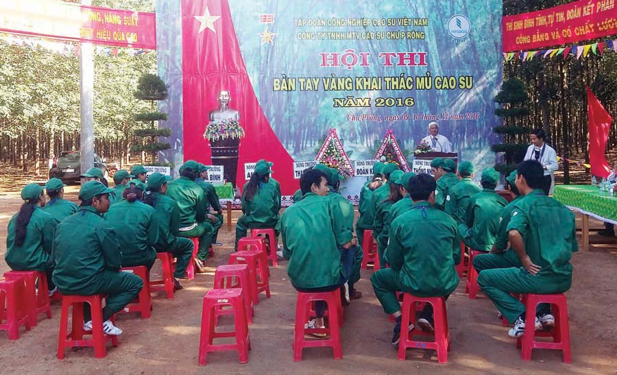 Ảnh: L.A Ảnh: L.A