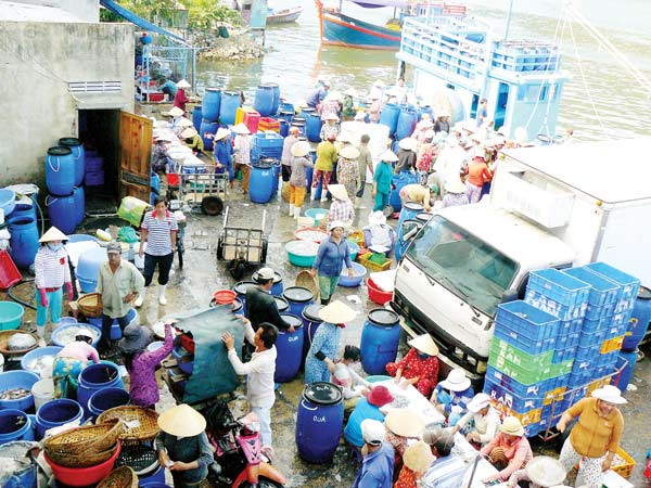 Một chợ cá tại Khánh Hòa trong mùa biển động 2