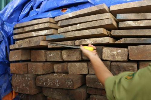 Nhà kho của hai đơn vị trực thuộc sở KH&CN được Giám đốc sở biễn thành nơi cất giữ gỗ cho gia đình.