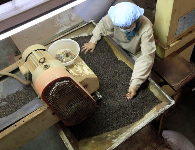 Ảnh minh họa (Internet).