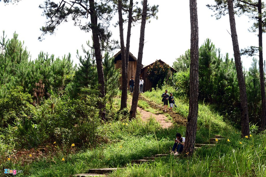 Du khách được trải qua cảm giác mạnh khi băng qua những quãng địa hình bất ngờ của núi đồi, suối nước, các cánh rừng được chăm chút, tái sinh màu xanh và sức sống mới. a