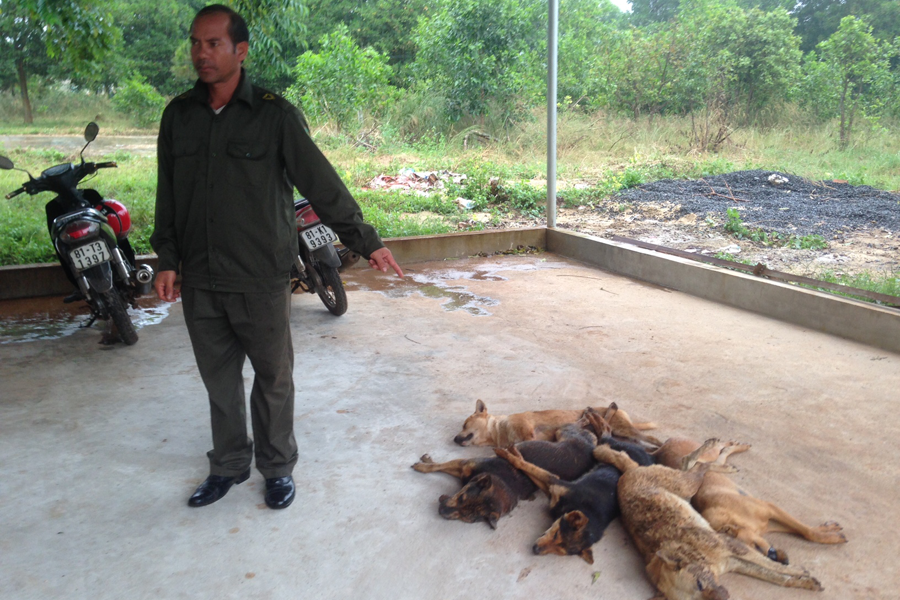 Công an xã đã đưa tang vật về trụ sở. Ảnh: M.N